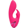Calexotics - Donc. Vibrateur Cal Sunshine Rabbit Fuchsia Par California Dreaming